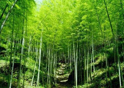人少景美！五一小長(cháng)假最適合出游的的當地